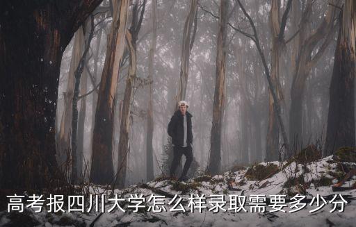 四川大學(xué)18年河北考生多少分,錄取需要多少分