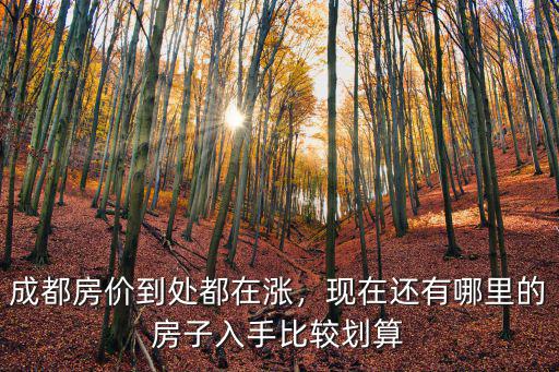 成都房價(jià)到處都在漲，現(xiàn)在還有哪里的房子入手比較劃算