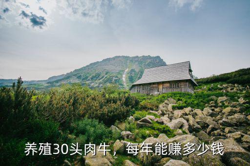 安徽牛苗一頭多少錢,每年能賺多少錢
