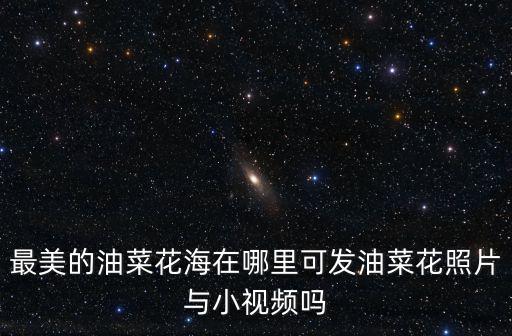 最美的油菜花海在哪里可發(fā)油菜花照片與小視頻嗎