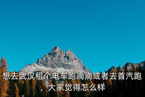 想去武漢租個電車跑滴滴或者去首汽跑，大家覺得怎么樣