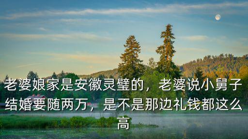 老婆娘家是安徽靈璧的，老婆說小舅子結(jié)婚要隨兩萬，是不是那邊禮錢都這么高