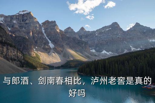 與郎酒、劍南春相比，瀘州老窖是真的好嗎