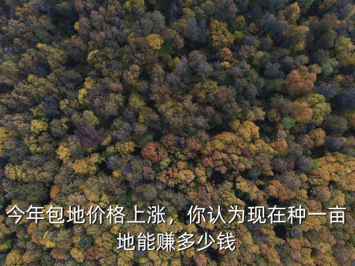 淮北包地種多少錢一畝,收割機收一畝地需要多少錢