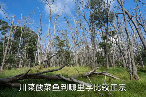 成都學中餐去哪里學,成都哪里學習中餐比較好