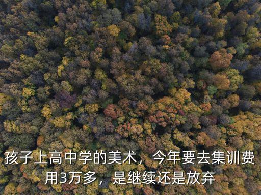 蚌埠美術集訓學校多少錢,高中學美術要多少錢