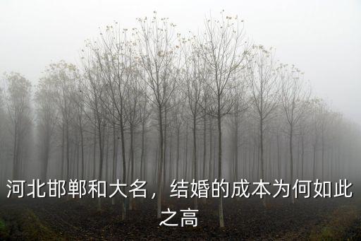河北邯鄲有多少光棍,河北邯鄲邱縣彩禮是多少