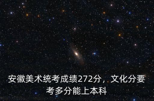安徽美術統考成績272分，文化分要考多分能上本科