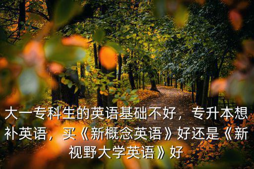 大一專科生的英語基礎不好，專升本想補英語，買《新概念英語》好還是《新視野大學英語》好