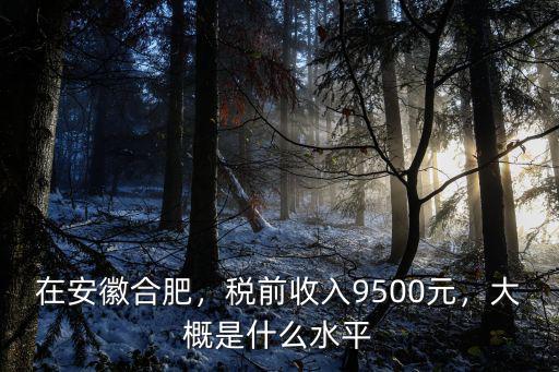 在安徽合肥，稅前收入9500元，大概是什么水平