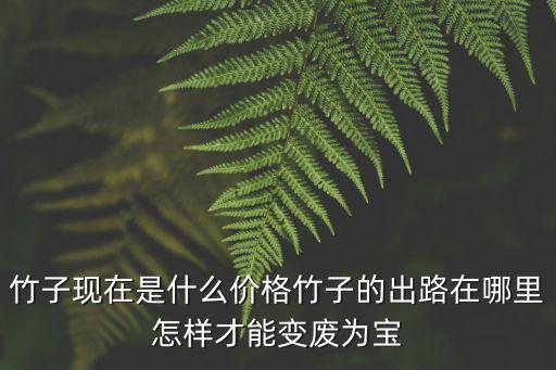 綿陽哪里有批發竹子加工的,竹子的出路在哪里