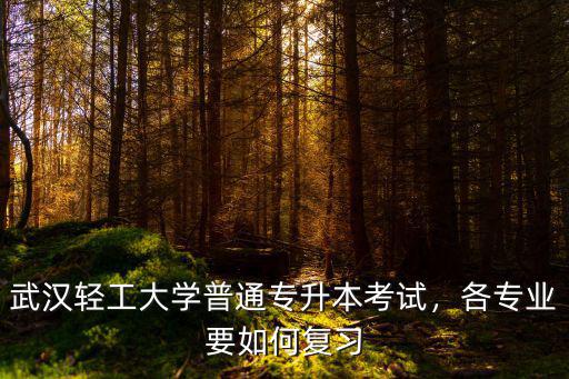 武漢輕工大學普通專升本考試，各專業要如何復習