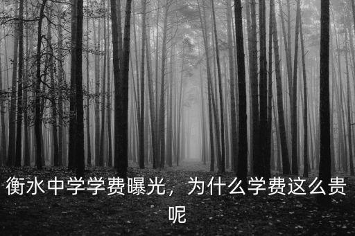 衡水中學學費曝光，為什么學費這么貴呢