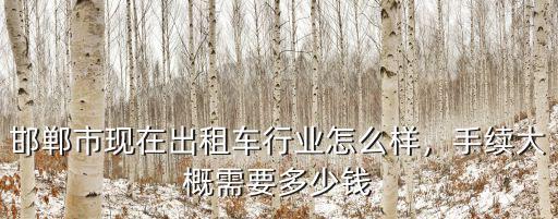 邯鄲市現(xiàn)在出租車行業(yè)怎么樣，手續(xù)大概需要多少錢