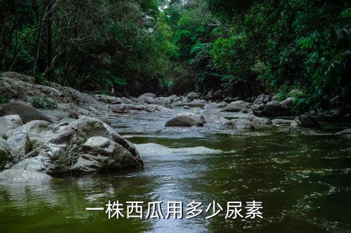 一顆西瓜需要多少復合肥,西瓜需要什么肥料