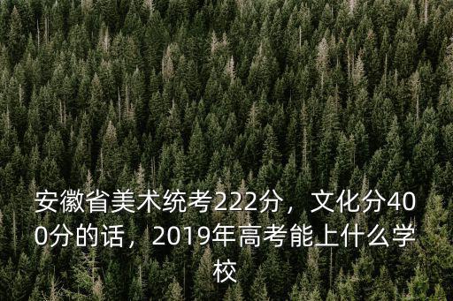 安徽省美術統考222分，文化分400分的話，2019年高考能上什么學校