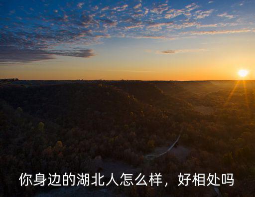 你身邊的湖北人怎么樣，好相處嗎