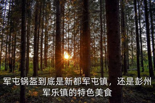 成都軍屯鍋盔哪里好吃,成都的紅糖鍋盔和軍屯鍋盔