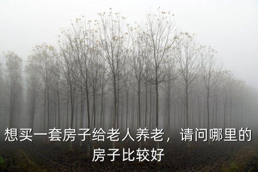 雅安老城哪里的房子好,請問哪里的房子比較好
