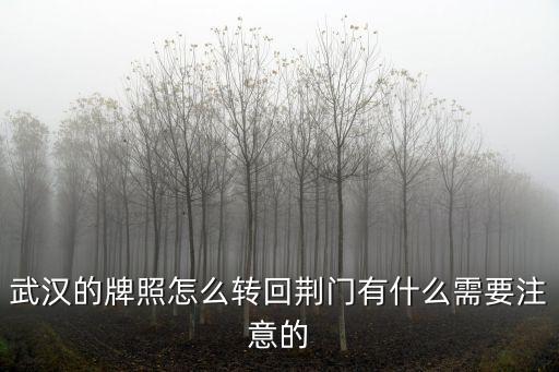 武漢牌照轉回孝感怎么操作,武漢的牌照怎么轉回荊門