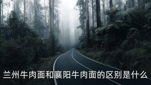 蘭州牛肉面和襄陽牛肉面的區別是什么