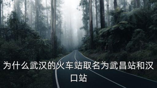 為什么武漢的火車站取名為武昌站和漢口站