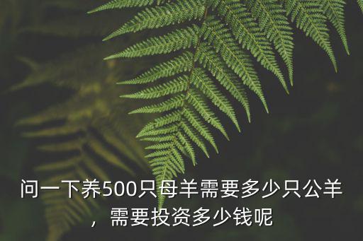 問一下養(yǎng)500只母羊需要多少只公羊，需要投資多少錢呢