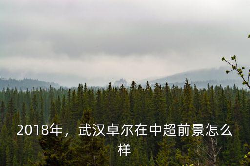 2018年，武漢卓爾在中超前景怎么樣