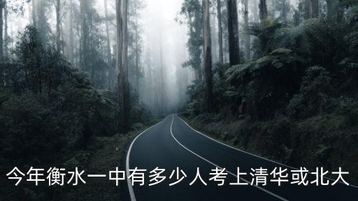 今年衡水一中有多少人考上清華或北大