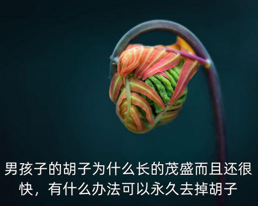男孩子的胡子為什么長的茂盛而且還很快，有什么辦法可以永久去掉胡子