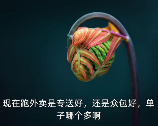 成都哪里跑外賣單子多,在成都跑外賣好做嗎