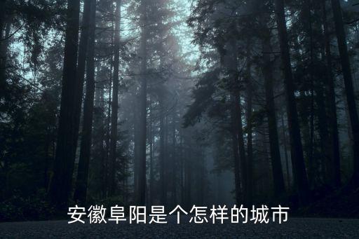 阜陽叫李陽的有多少人,阜陽人怎么樣