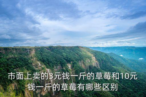 市面上賣的3元錢一斤的草莓和10元錢一斤的草莓有哪些區別