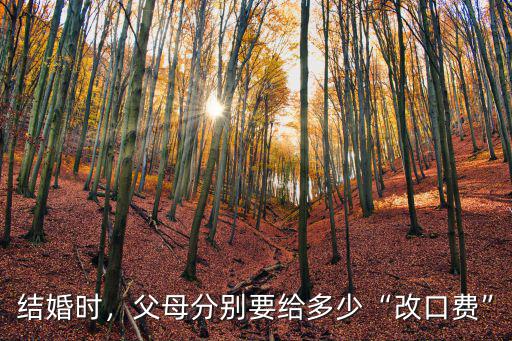 邯鄲結婚改口費給多少,結婚改口費各自多少合適