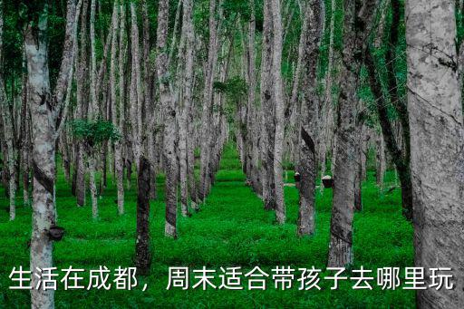 最近適合帶孩子去成都哪里玩,周末適合帶孩子去哪里玩