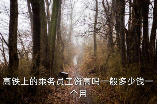 高鐵上的乘務員工資高嗎一般多少錢一個月