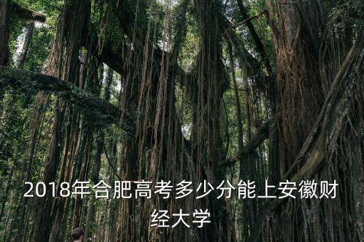 文科考多少分能上安徽財經大學,安徽文科559能上什么大學