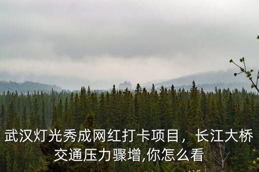 武漢燈光秀是怎么弄的,武漢上演長江燈光秀