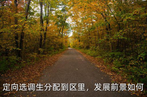 恩施市第二批選調(diào)生怎么分配,選調(diào)生怎么定崗分配