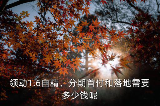 合肥領動自精多少錢落地,自精版落地多少錢