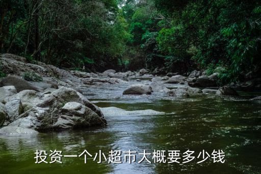 在邯鄲市開超市要投資多少錢,投資一個小超市大概要多少錢