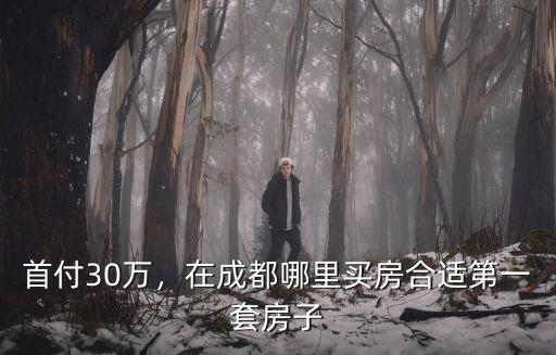 在成都首付30萬能在哪里買房子,在成都哪里買房合適