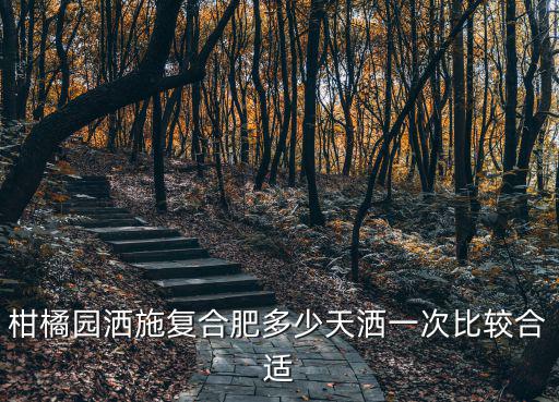 柑橘園灑施復合肥多少天灑一次比較合適