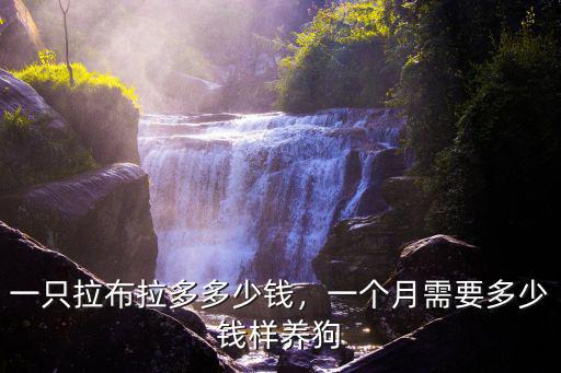 安徽省一只拉布拉多多少錢,一只拉布拉多多少錢