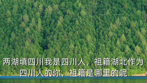 兩湖填四川我是四川人，祖籍湖北作為四川人的你，祖籍是哪里的呢