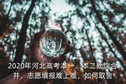 2020河北高考填報能填多少個志愿,2020年河北高考本一