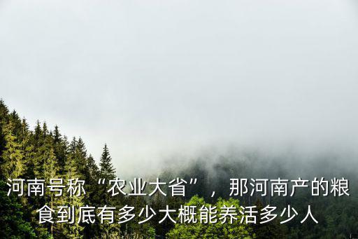 河南號稱“農業大省”，那河南產的糧食到底有多少大概能養活多少人