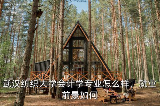 武漢財會專業(yè)行業(yè)怎么樣,會計專業(yè)錄取