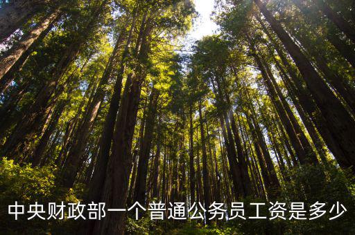 承德隆化公務員工資多少,公務員的工資到底是多少