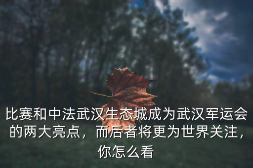 怎么看武漢軍運會的賽程,對此你怎么看